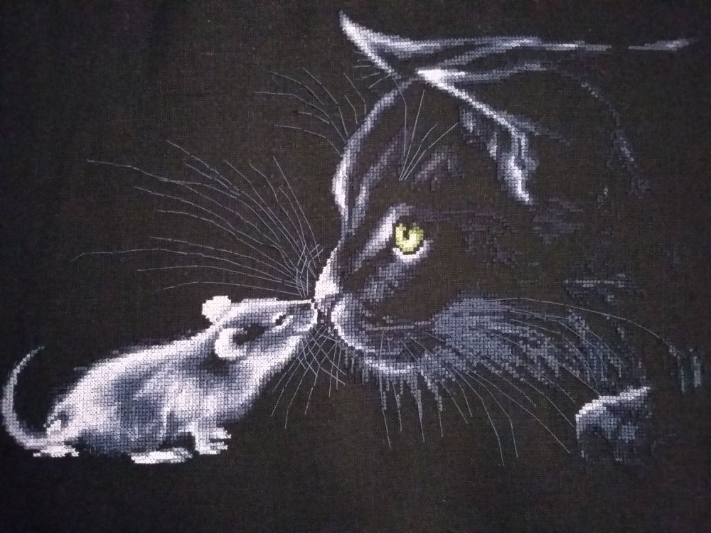 Монохромная вышивка крестом кошки