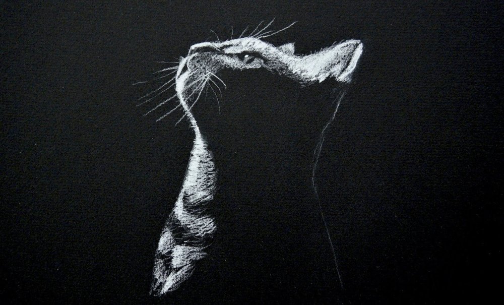 Монохромная вышивка схемы