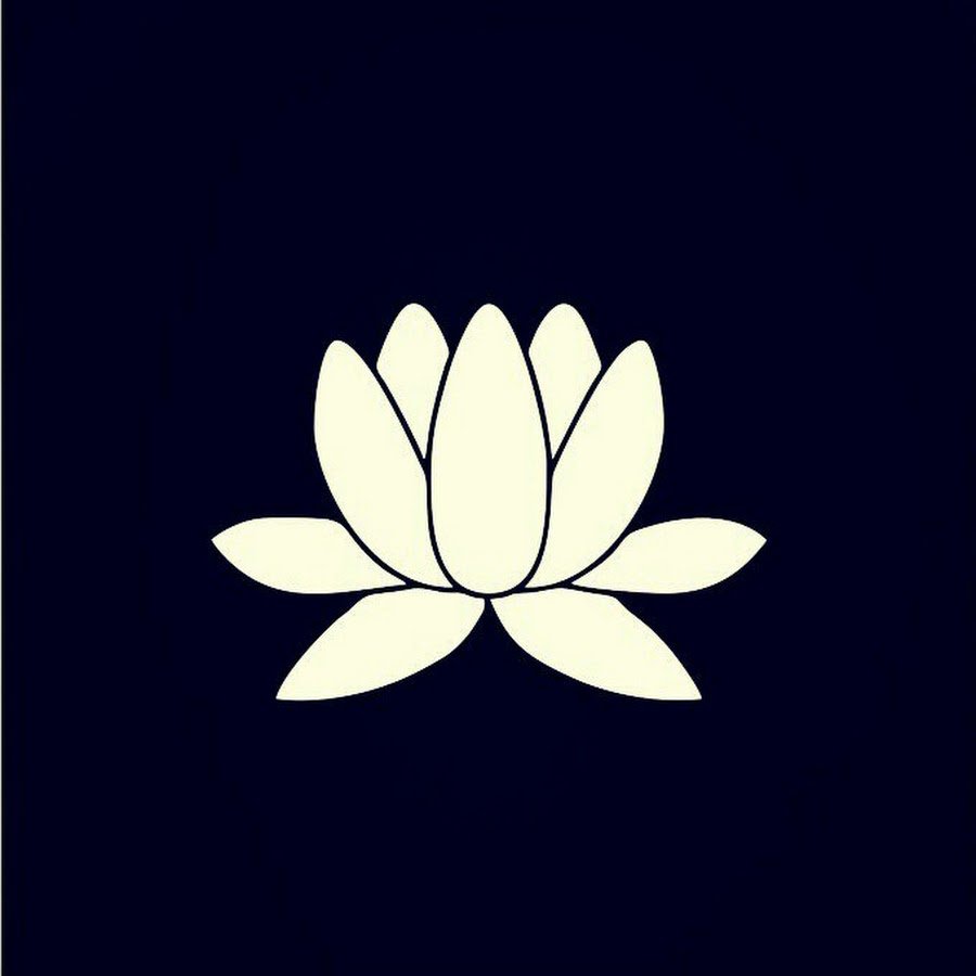 Белый Лотос на черном фоне