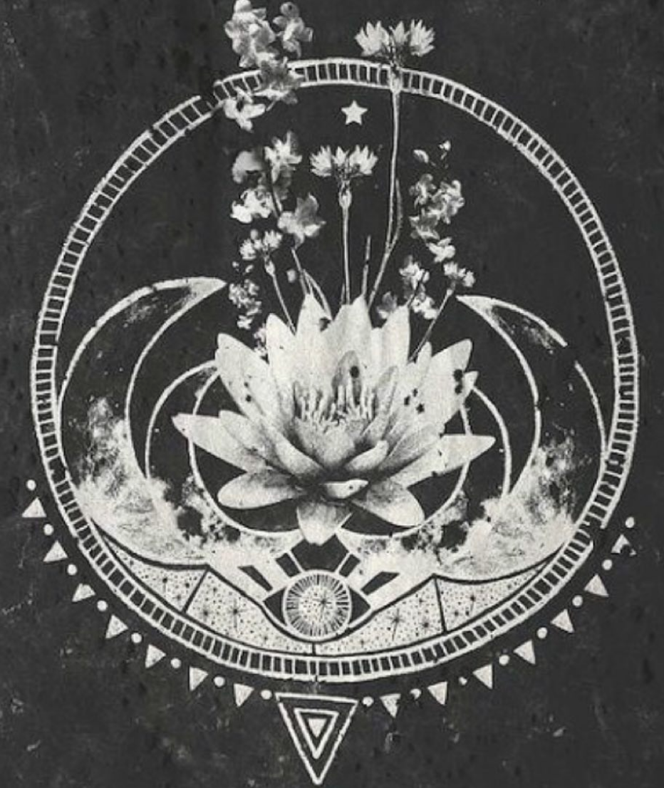 Цветок символизирующий луну