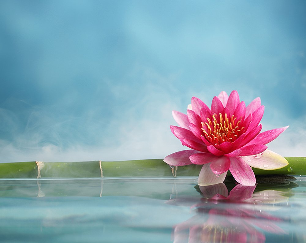 Лотос символ