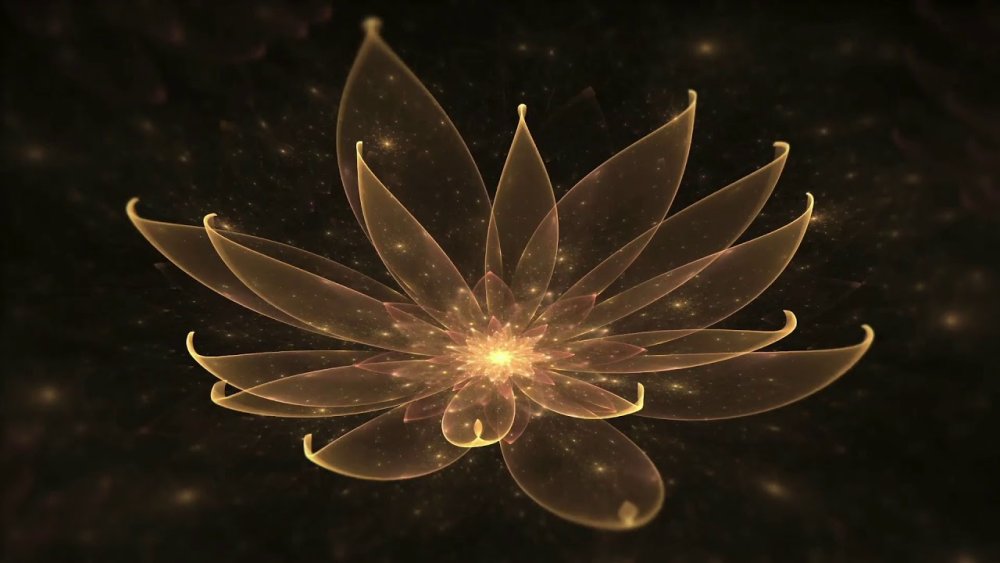 Золотой Лотус растение