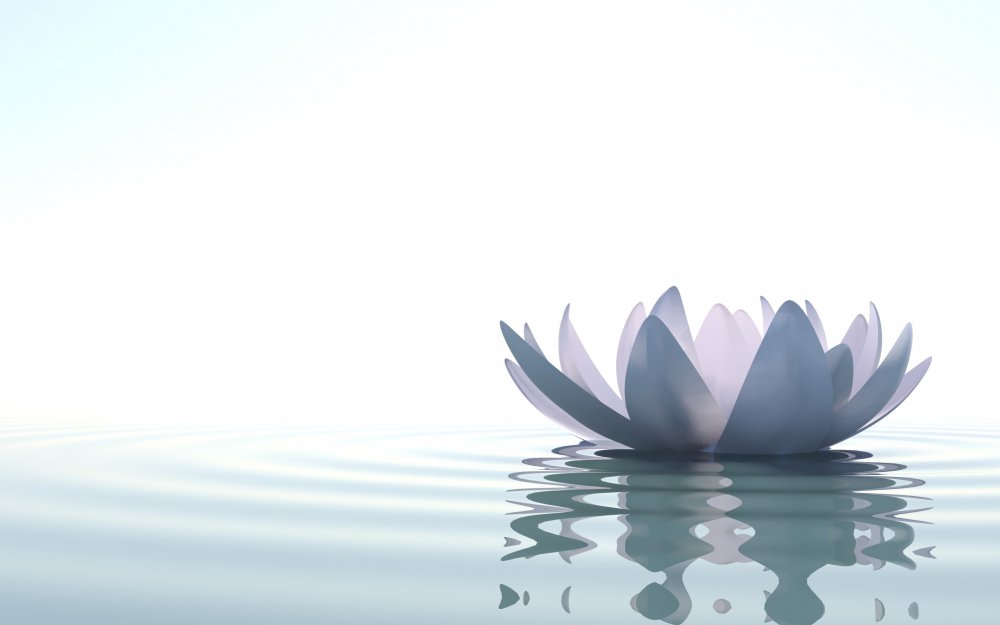 Лотос подложка