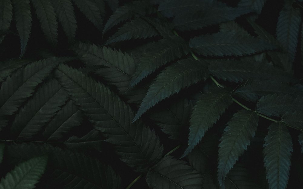 Тёмный эстетичный фон