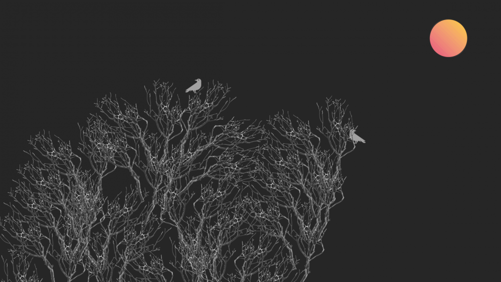 Минимализм Эстетика