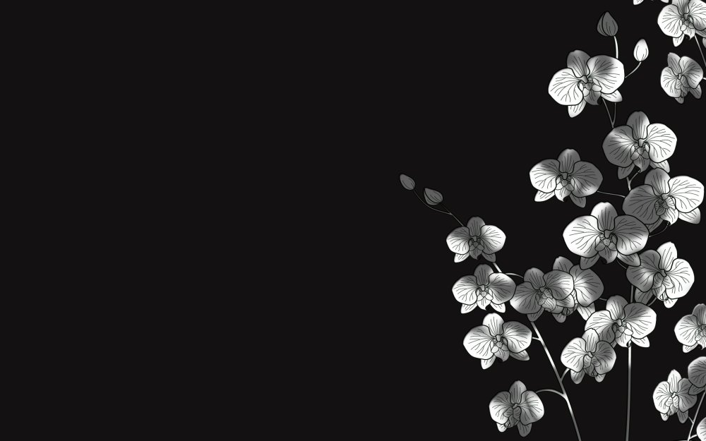 Цветы на черном фоне