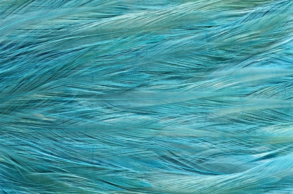 Цвет Тифани или Тиффани