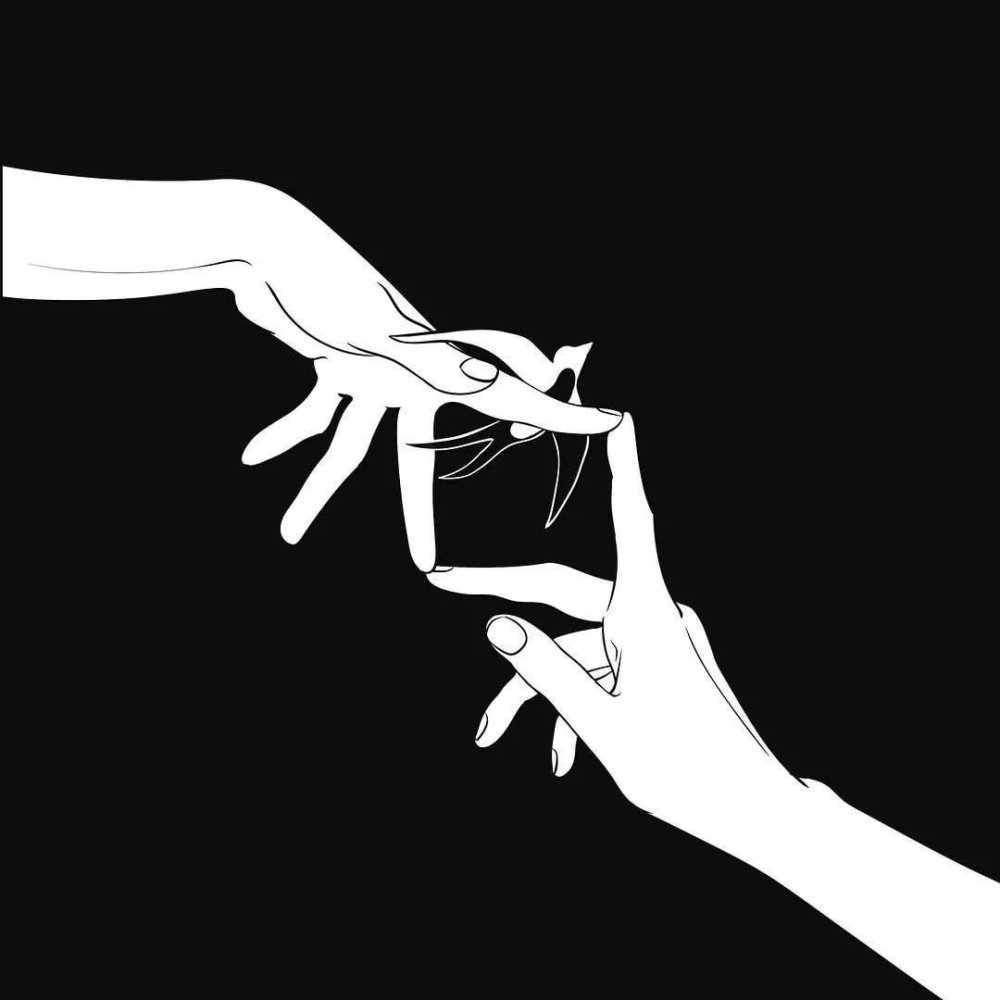 Тень Эстетика