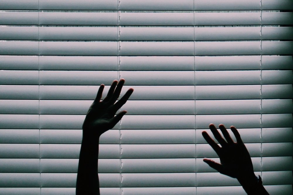 Горизонтальная Эстетика