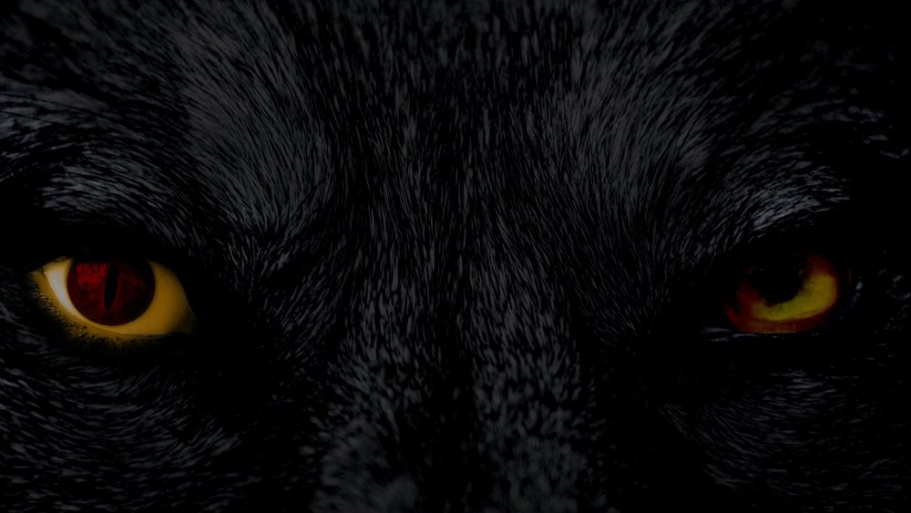 Горящие глаза