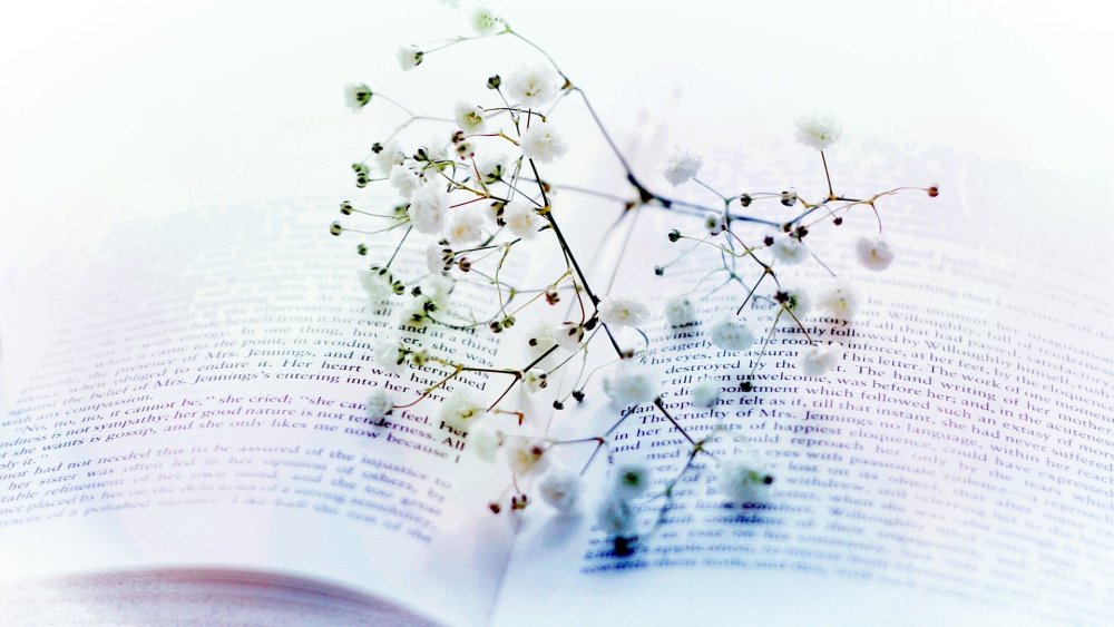 Книги на Светлом фоне