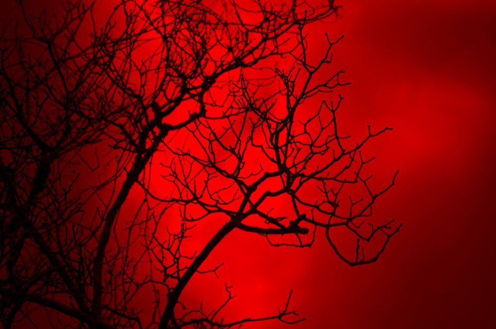 Страшные кровавые черепа