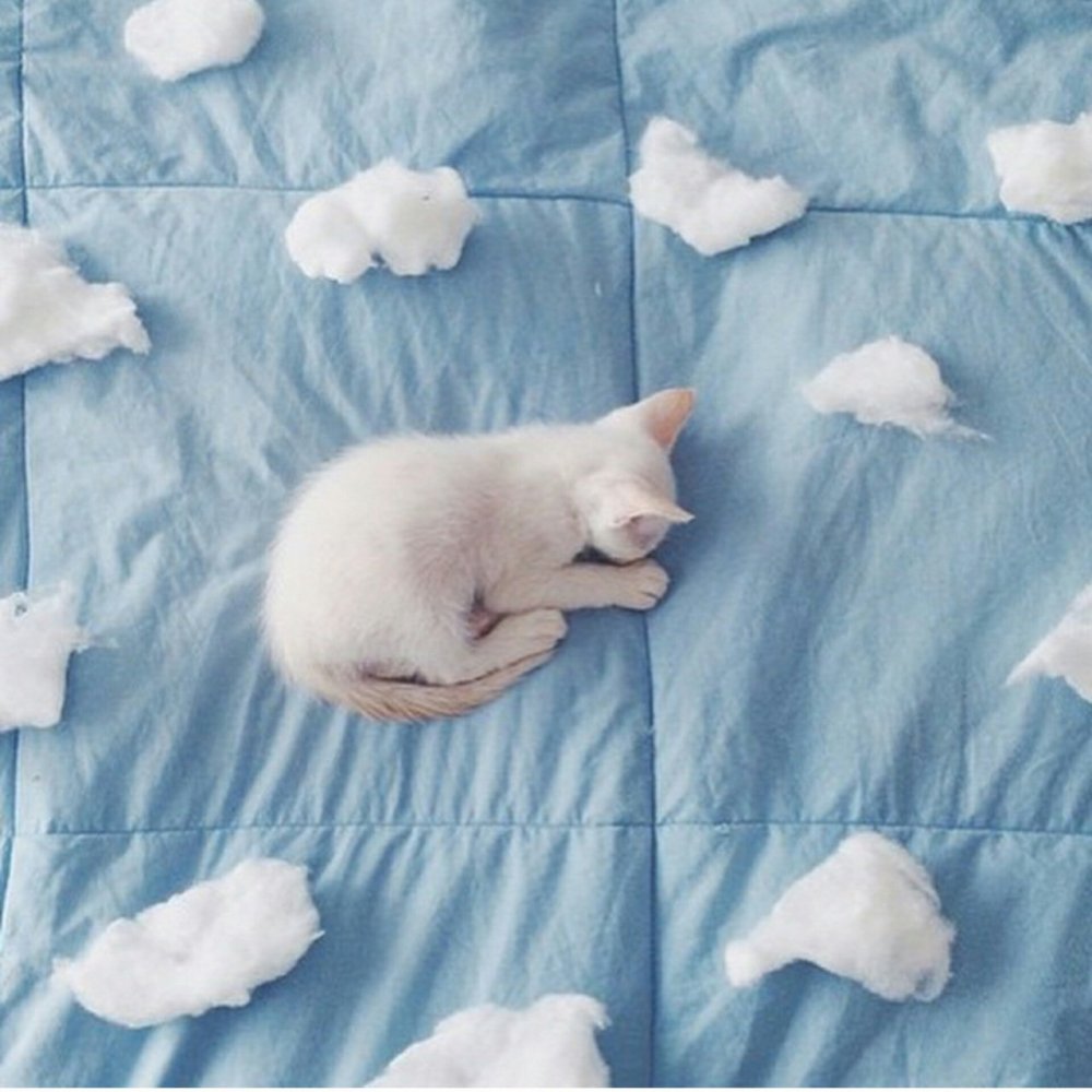 Эстетика светло голубого