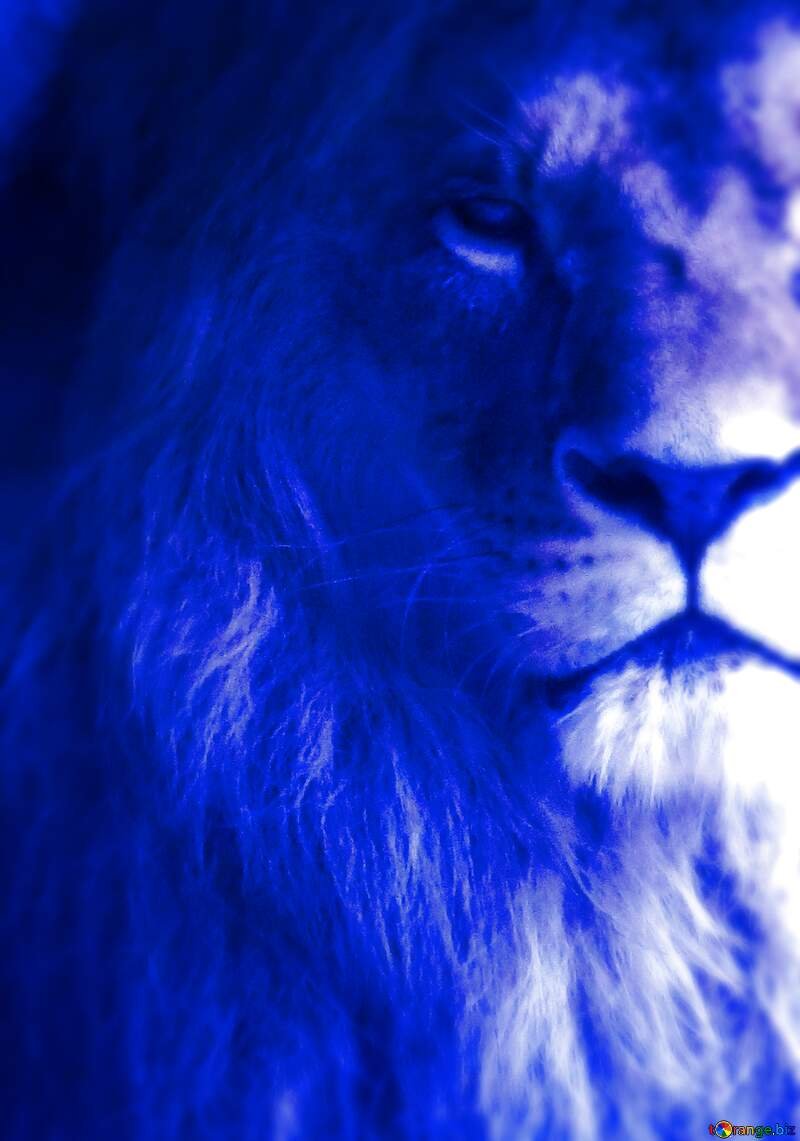 Голубой Лев
