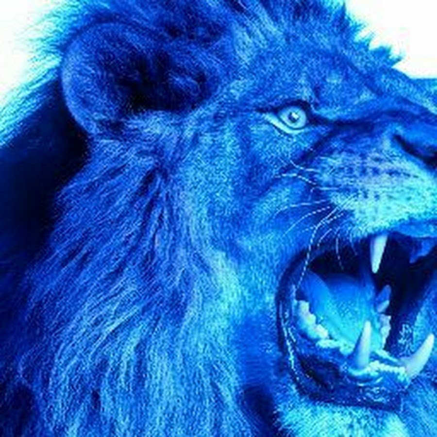 Синий зверь