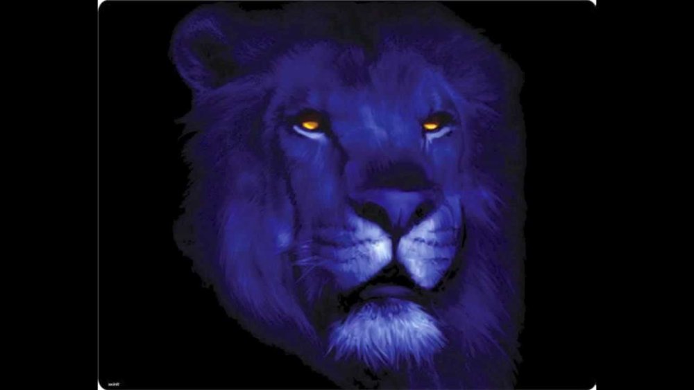 Лев на сиреневом фоне