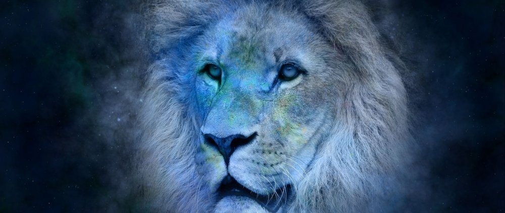 Заставка на телефон Лев