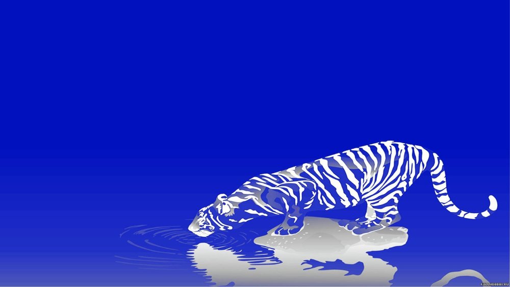 2022 Голубого водяного тигра