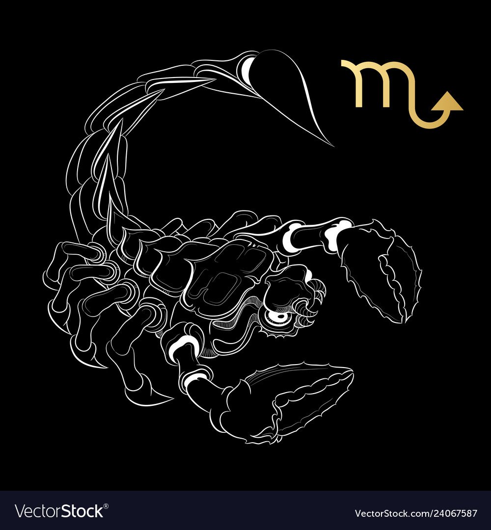 Скорпион на темном фоне