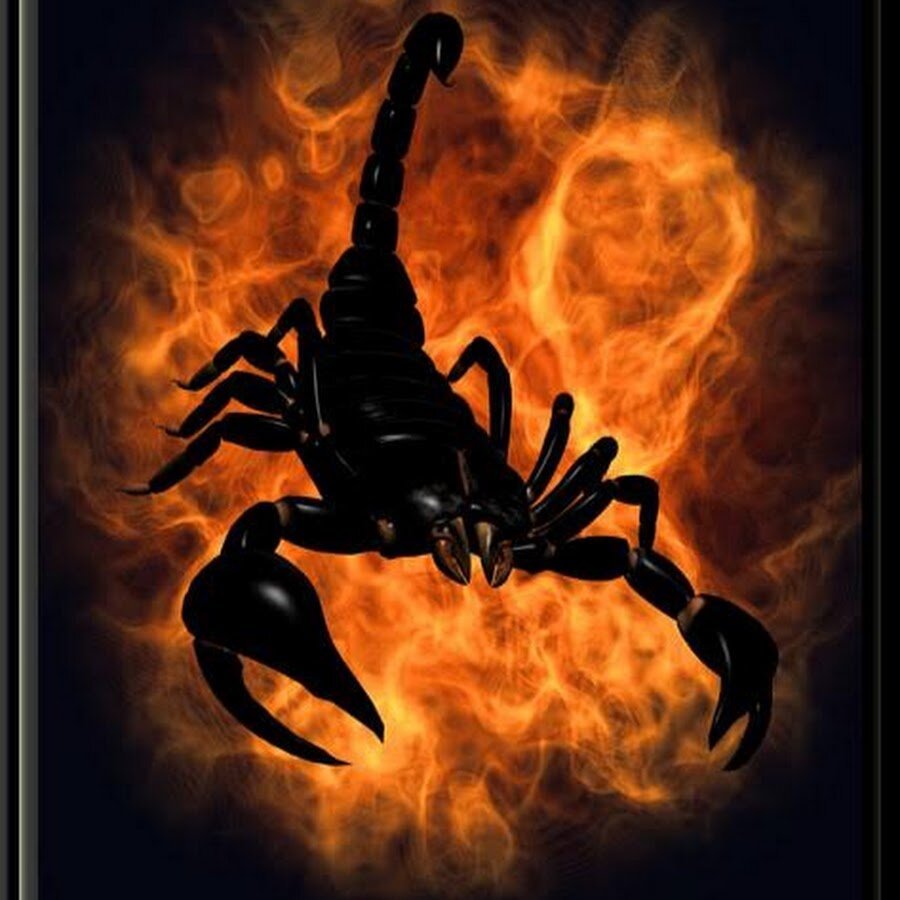 Злой Скорпион