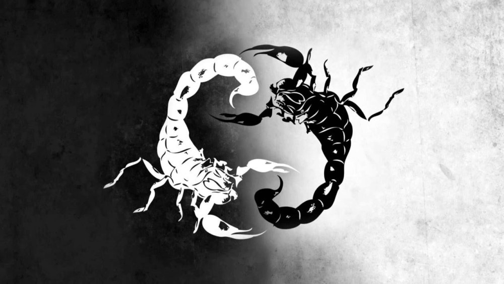 Скорпион фото картинки