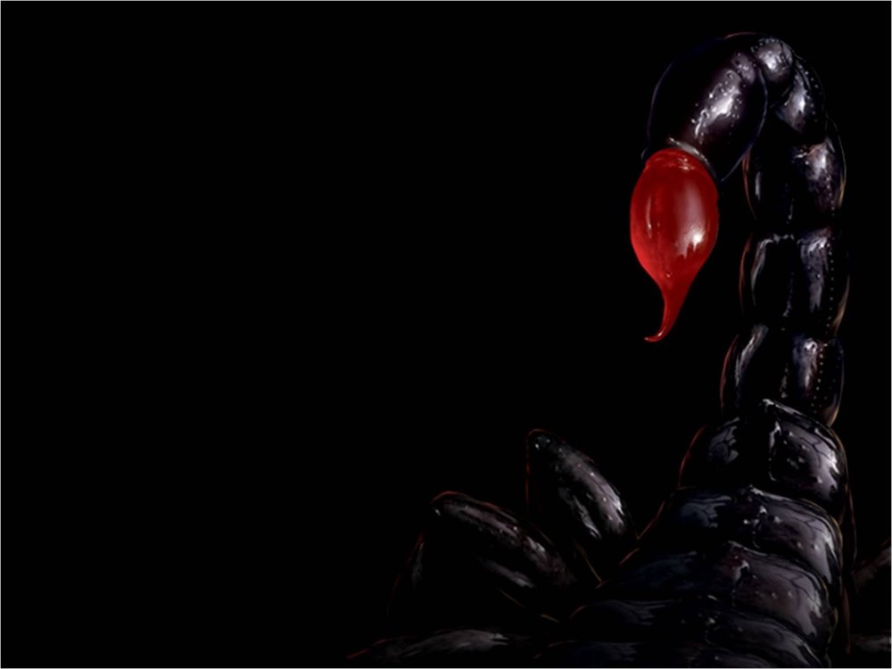 Красный Скорпион на черном фоне