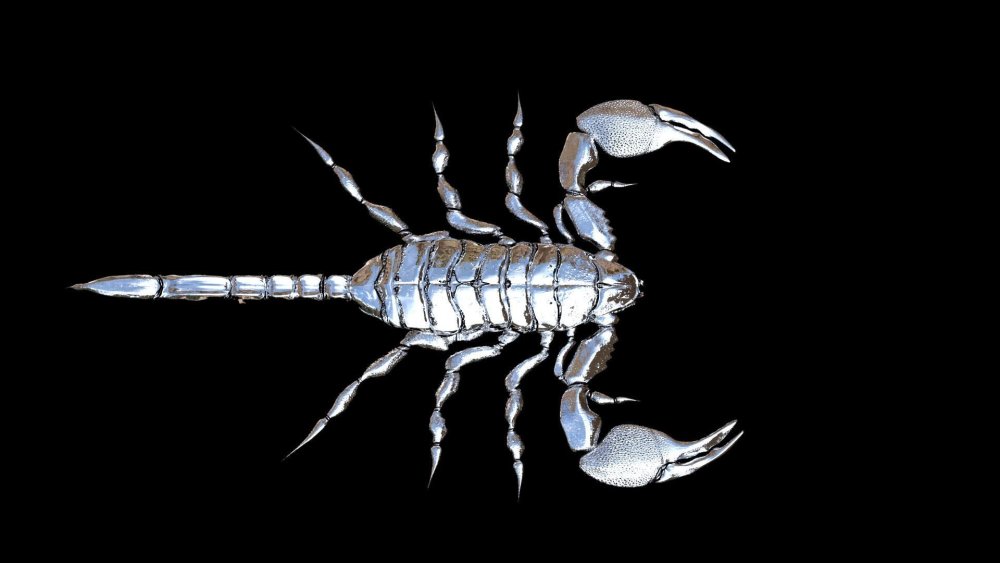 Заставка на рабочий стол Скорпион