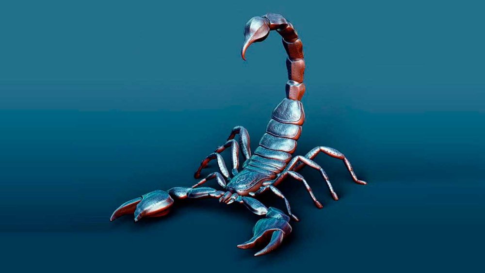 Скорпион фон