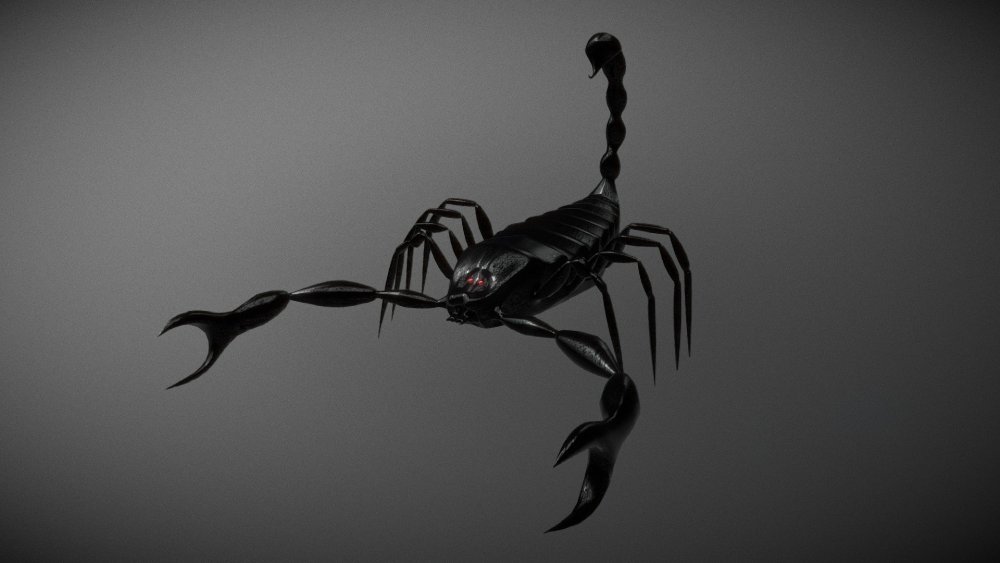 Скорпион на заставку