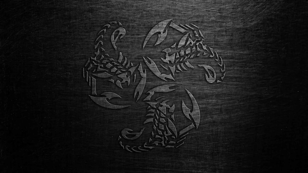 Скорпион на черном фоне