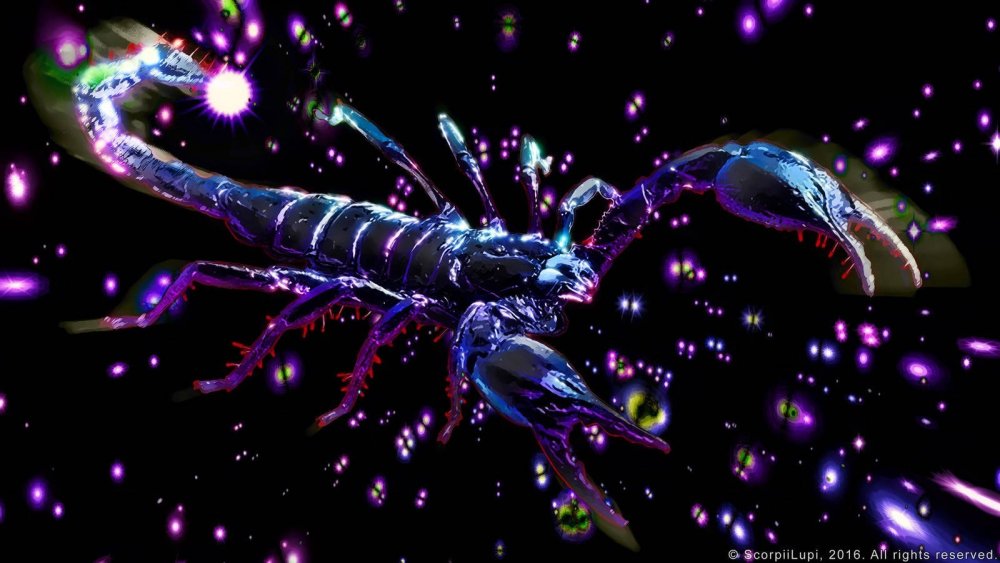 Скорпион картинки красивые