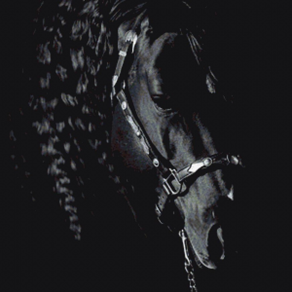 Лошадь в темных тонах