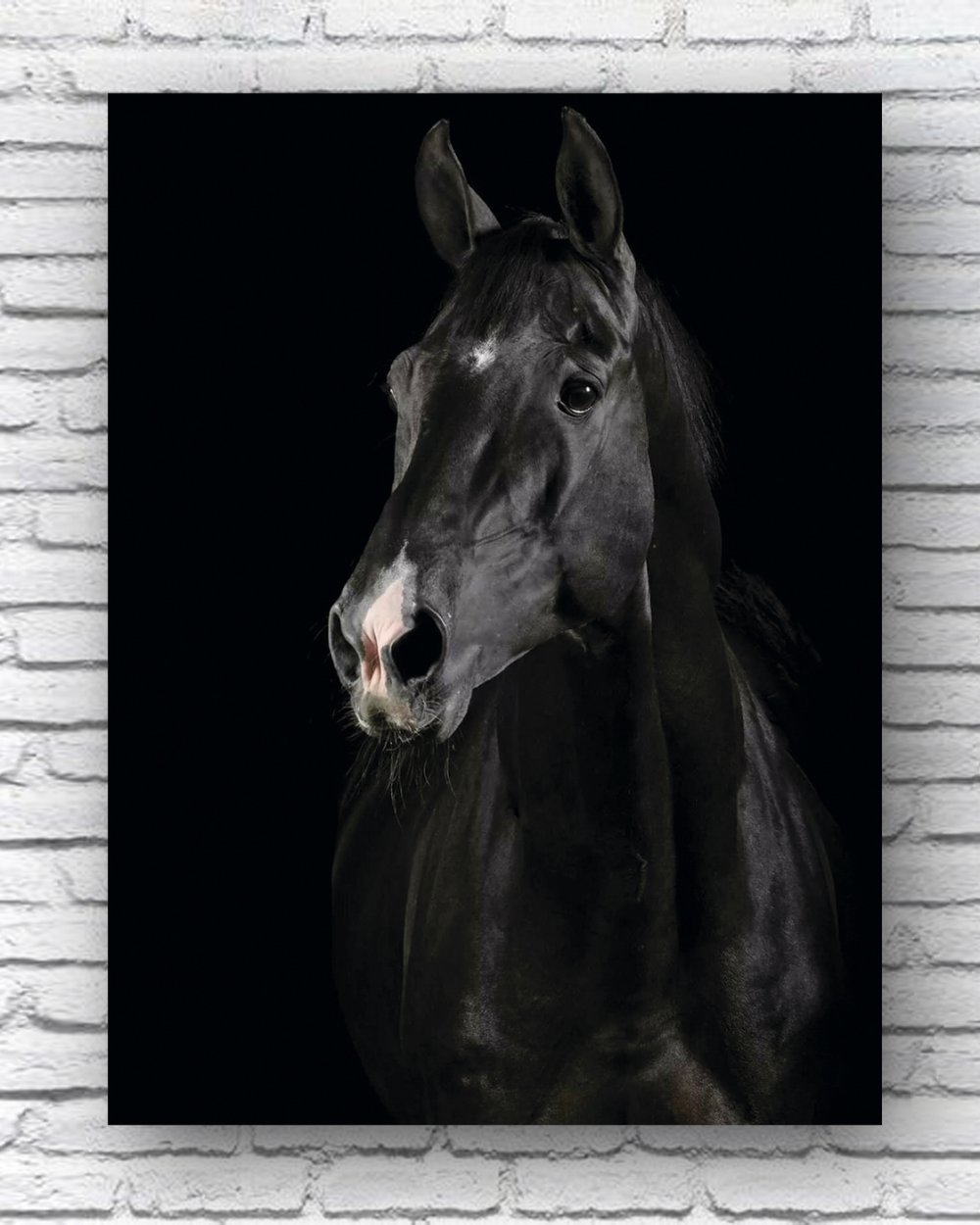 Лошадь черно белая