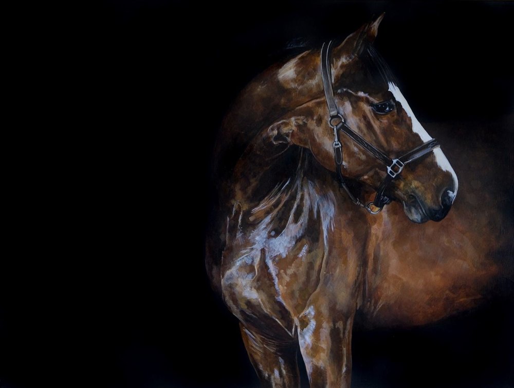 Конь на черном фоне