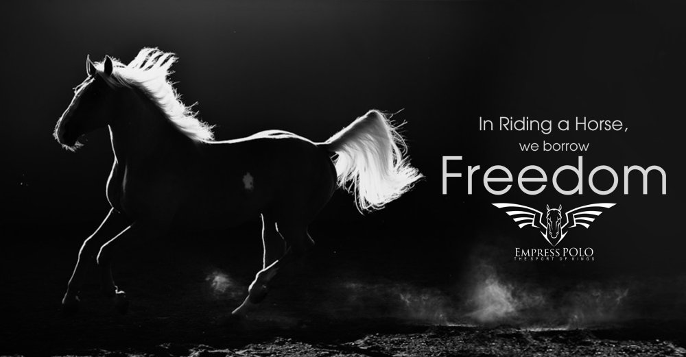 Черный конь Эстетика