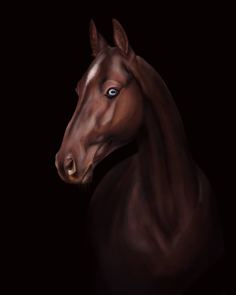 Вороной ахалтекинец