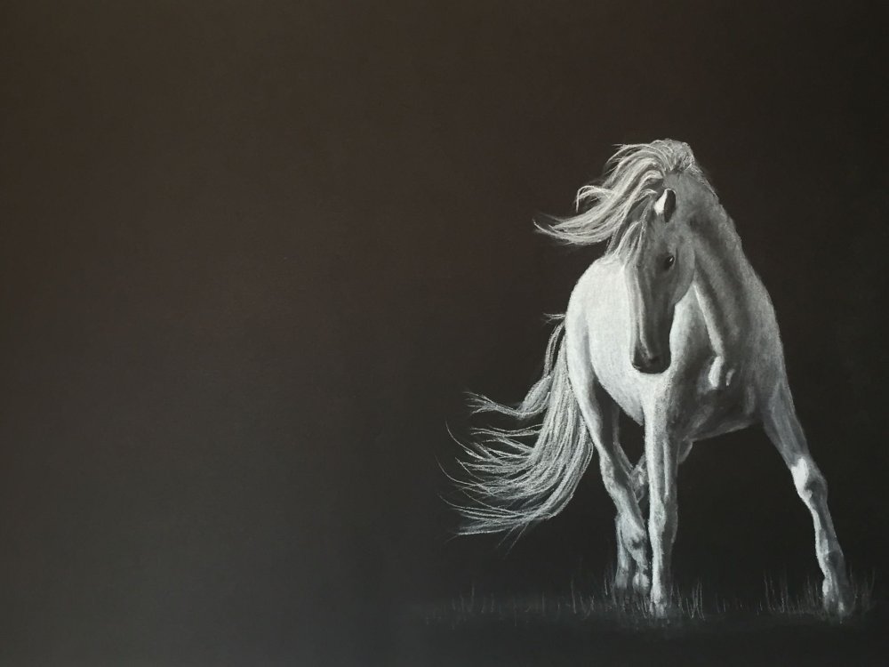 Белая лошадь на черном фоне
