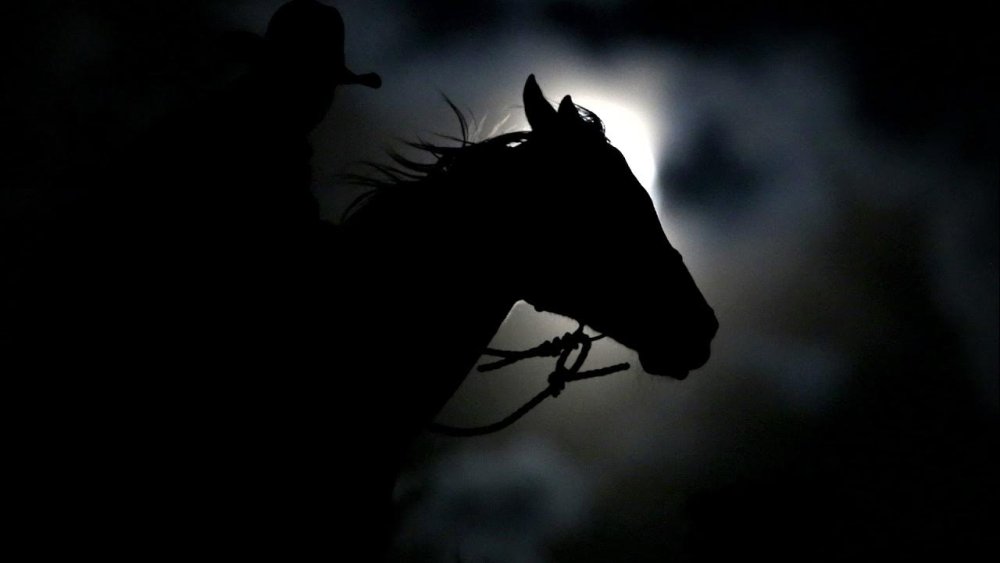 Лошадь ночью