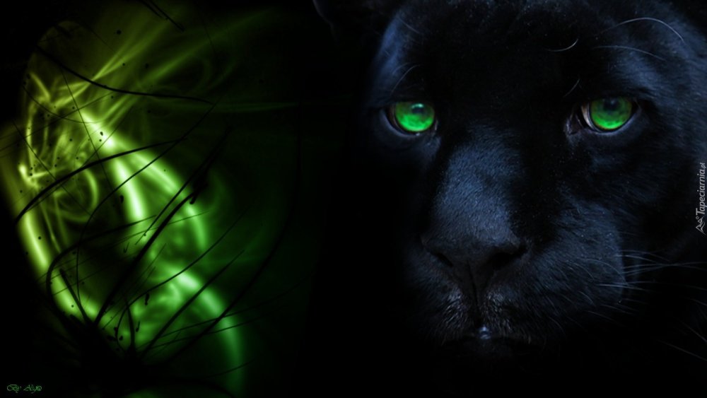 Черная пантера с зелеными глазами