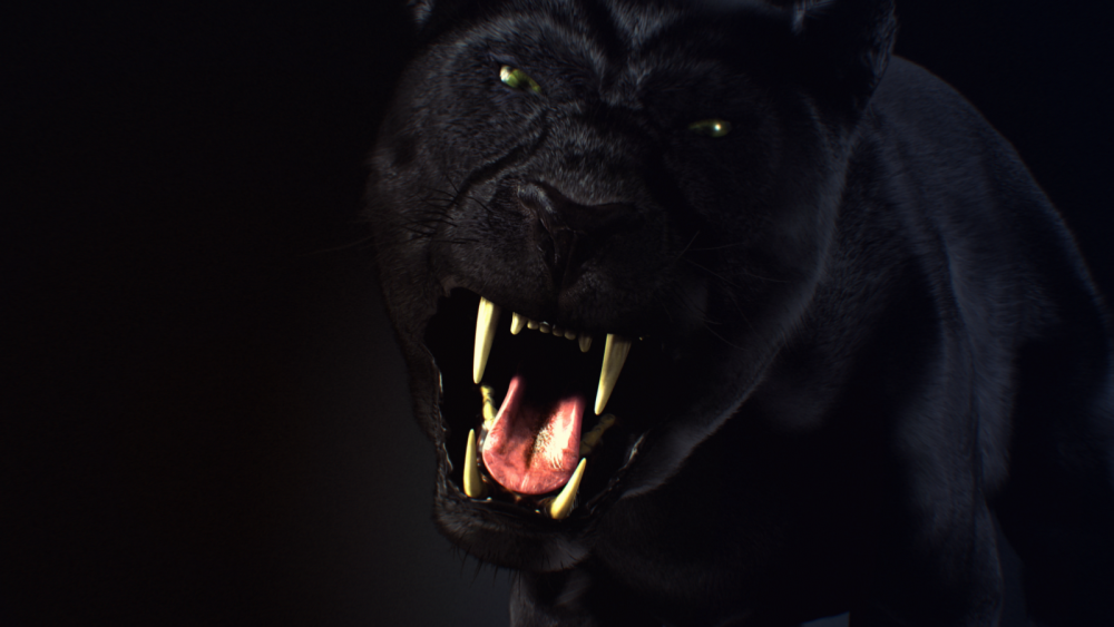 Пантера обои