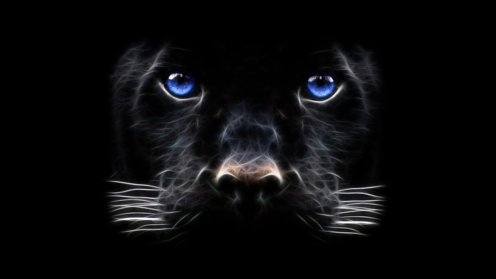 Темные обои животные
