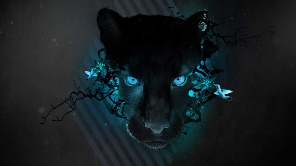 Обои на рабочий стол пантера