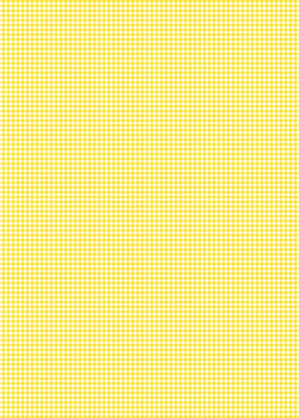 Бумага в клетку