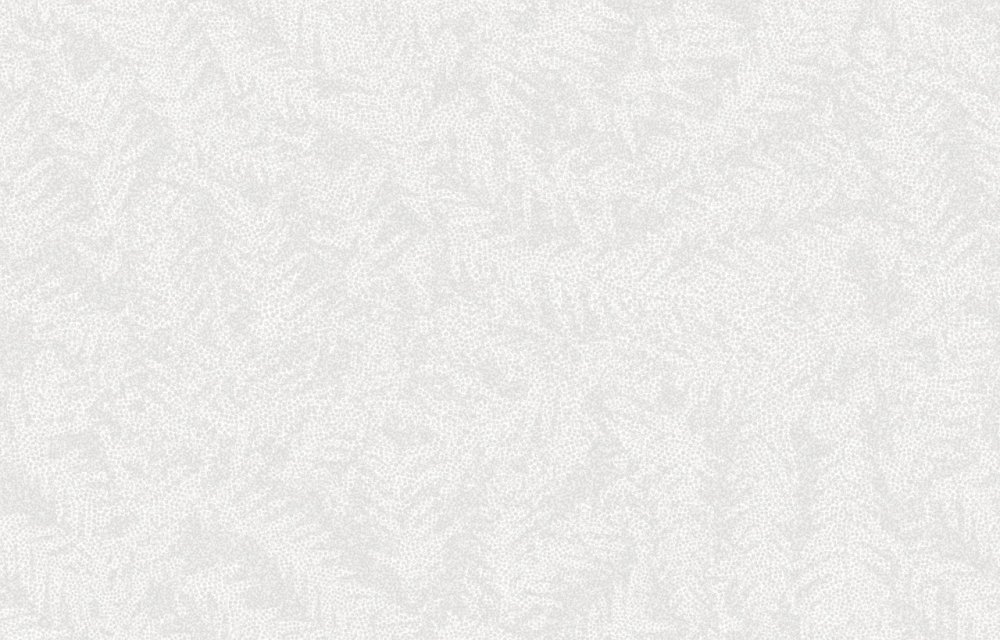 Лучетецца Аргенто