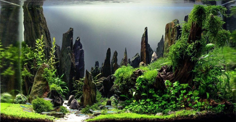 Морской акваскейп