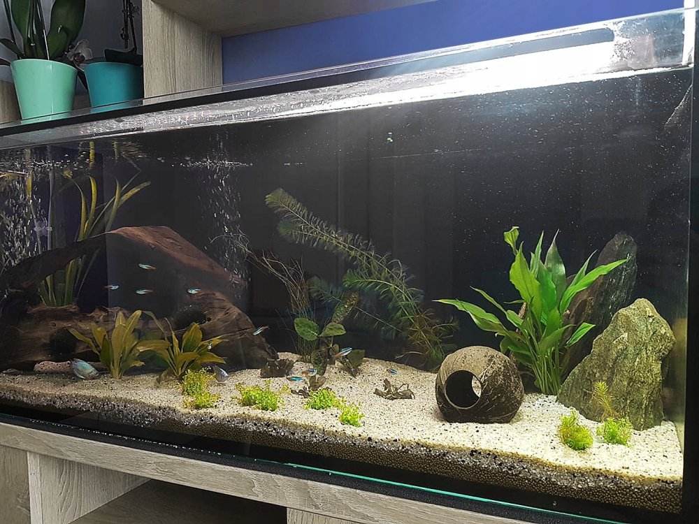 Аквариум 100 литров светлый и темный грунт