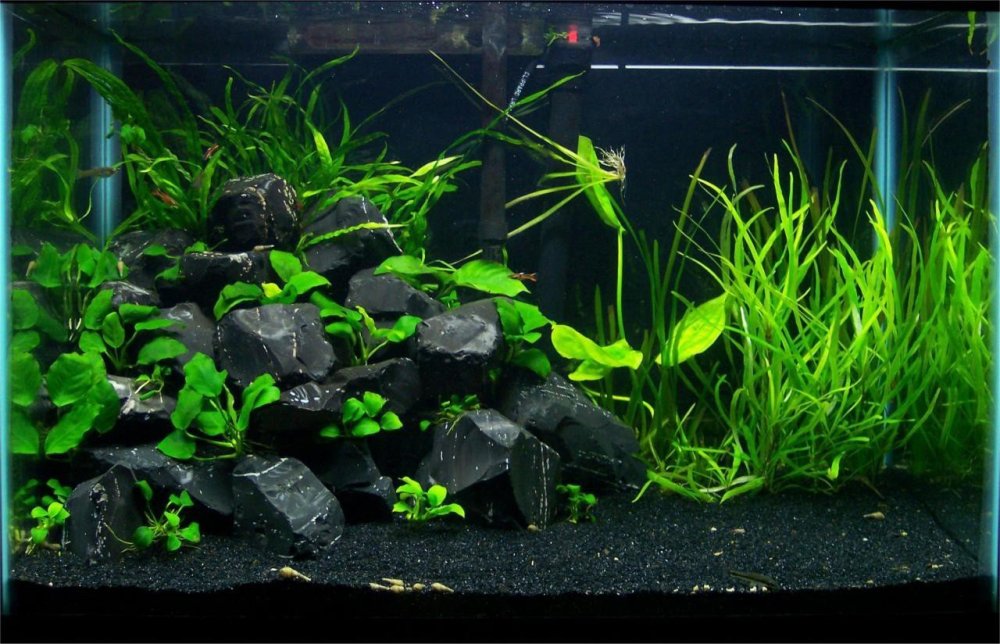 Акваскейп диабаз