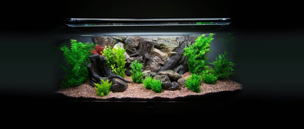 Акваскейп 80 литров