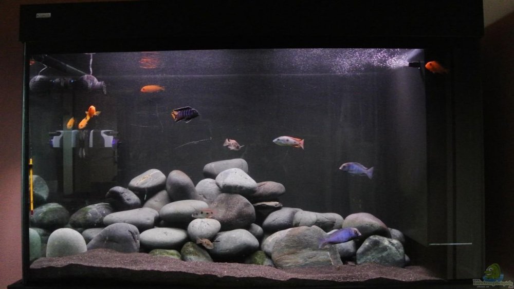 Хардскейп Малави