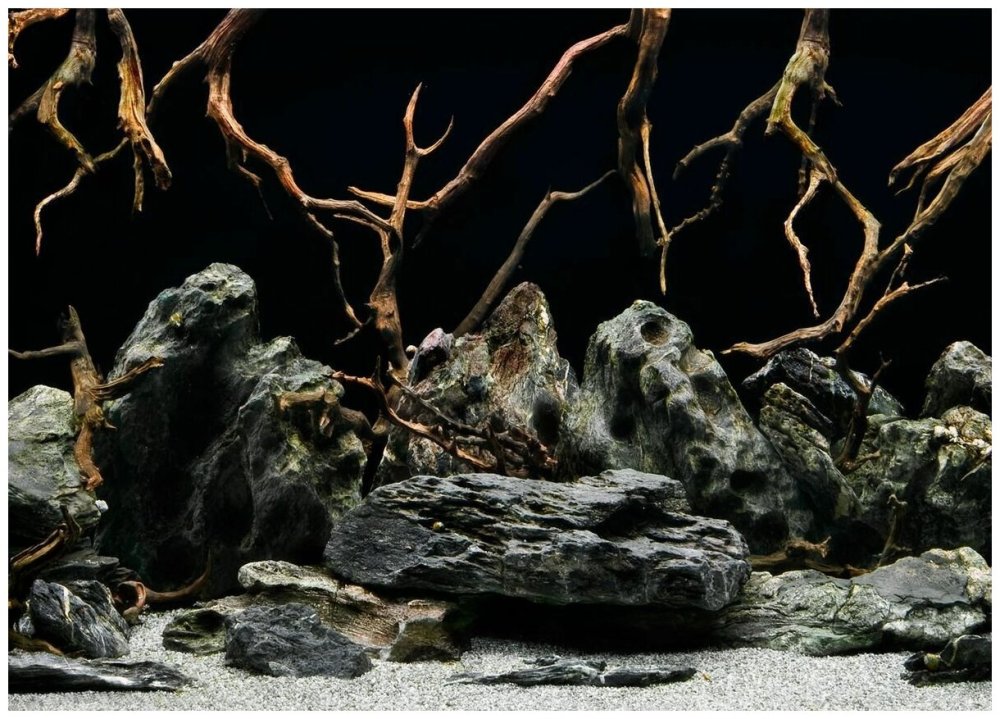 Фон аквариумный Barbus "морская Лагуна. Натуральная мистика"